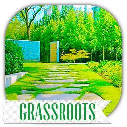 GrassRootsJax's profile picture. GrassRoots is a full-service landscaping company specializing in both residential and commercial projects in the Jacksonville, FL. area.