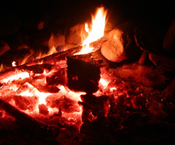 memeticmutator's profile picture. I mutate memes.