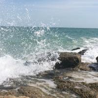 د. هشام المهيني (@odr228) 's Twitter Profile Photo