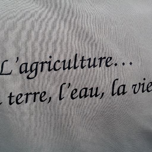 BTSA Prod Anim Pamiers/Ingénieur ENITA Clermont/Jusqu'à présent Directrice FDSEA 34/en M2 Management Administration des Entreprises IAE Montpellier part-time