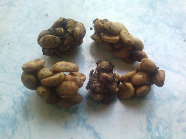 adindaputry28's profile picture. 