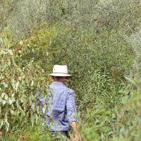 💦 Kent Broad (@kentbroad) 's Twitter Profile Photo