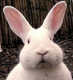 waterchou's profile picture. 