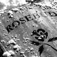 mendylandia's profile picture. Platense.  Abogado cel 2214946597 . PAMI sana y salva.
Una esponja sin dueño. Un silbido buscando
Página web https://t.co/EMDZeaP5Ft