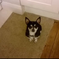 Jon Archdeacon (@jonarchdeacon) 's Twitter Profile