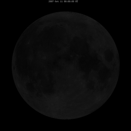 _arkadin's profile picture. 