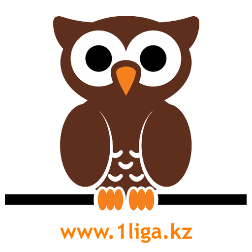 1ligakz's profile picture. 