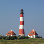 c_ern's profile picture. 