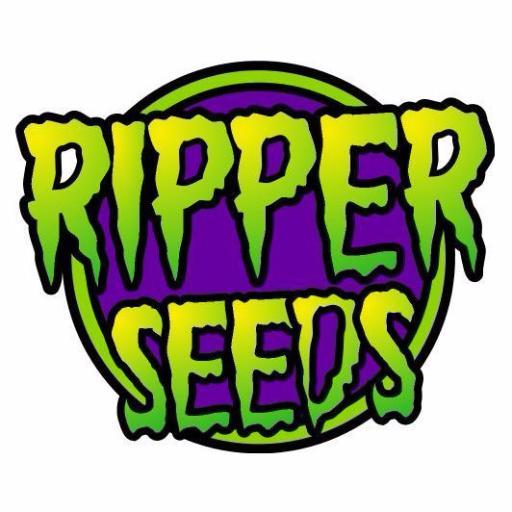 #Semillas de #Marihuana feminizadas de primera calidad.
info@ripperseeds.com