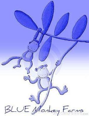 BlueMonkeyFarms's profile picture. 