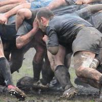 James watts (@james79975262) 's Twitter Profile