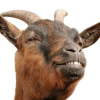 goat 👾 (@grassfedgoat) 's Twitter Profile