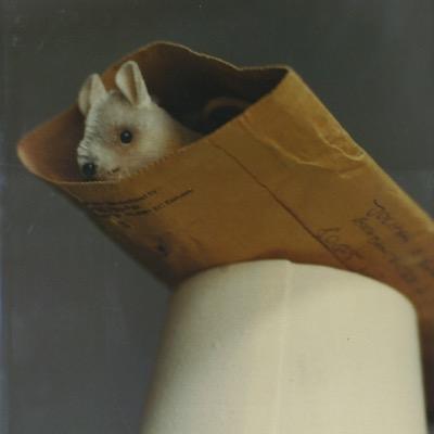 isao0128's profile picture. 