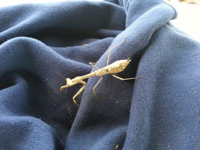 ThrivingHusband's profile picture. A devoted husband taken for granted, using Twitter as an outlet.