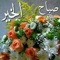 kamal saleh (@2kamalsaleh) 's Twitter Profile