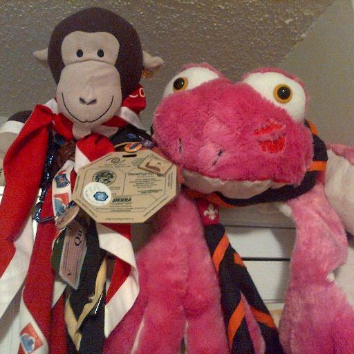 Official mascot of the Rideau Area Rovers in Voyageur Council, @ScoutsCanada - Follow along on our fantastic adventures! Ribbit.