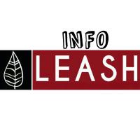 Info Banda Leash (@infoleash) 's Twitter Profile