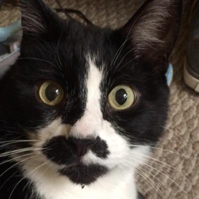 LoriArnold4's profile picture. a hard-working Mom who loves her kids