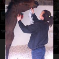 Hayley O'Connor (@hayleyboconnor) 's Twitter Profile Photo Hayley O'Connor (@hayleyboconnor) 's Twitter Profile Photo