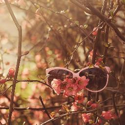 rene_tsi's profile picture. 