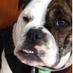 1pr (@1pr) Twitter profile photo 1pr (@1pr) Twitter profile photo