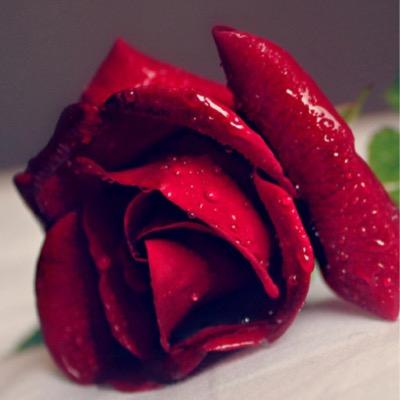 nada_2alby's profile picture. 