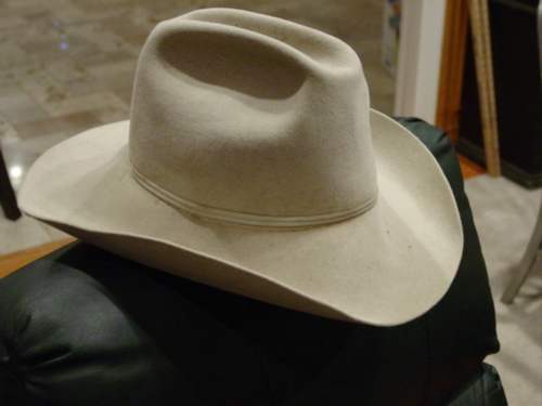 If lawyers can be disbarred and clergy can be defrocked then it makes sense that cowboys can be deranged.