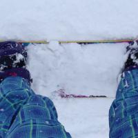 Silke Jeltsch (@silkejeltsch) 's Twitter Profile