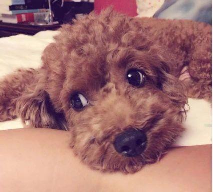 forjay0425's profile picture. 안녕하세요 ^ㅠ^