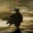 Martin_bm's profile image