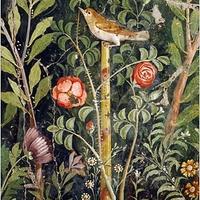 isulana bianchi (@isulanabianchi) 's Twitter Profile Photo