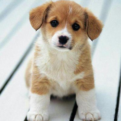 Hi all