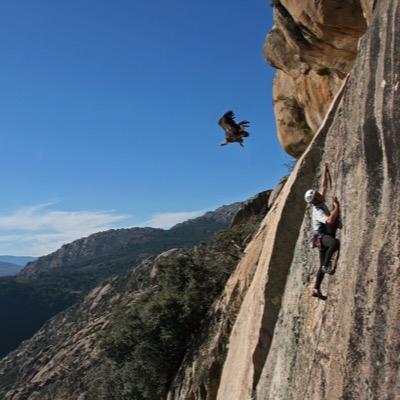 omar_gomezplata's profile picture. 