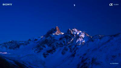 Jnr_dingo's profile picture. 