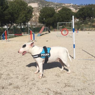 EsauVilchez's profile picture. 