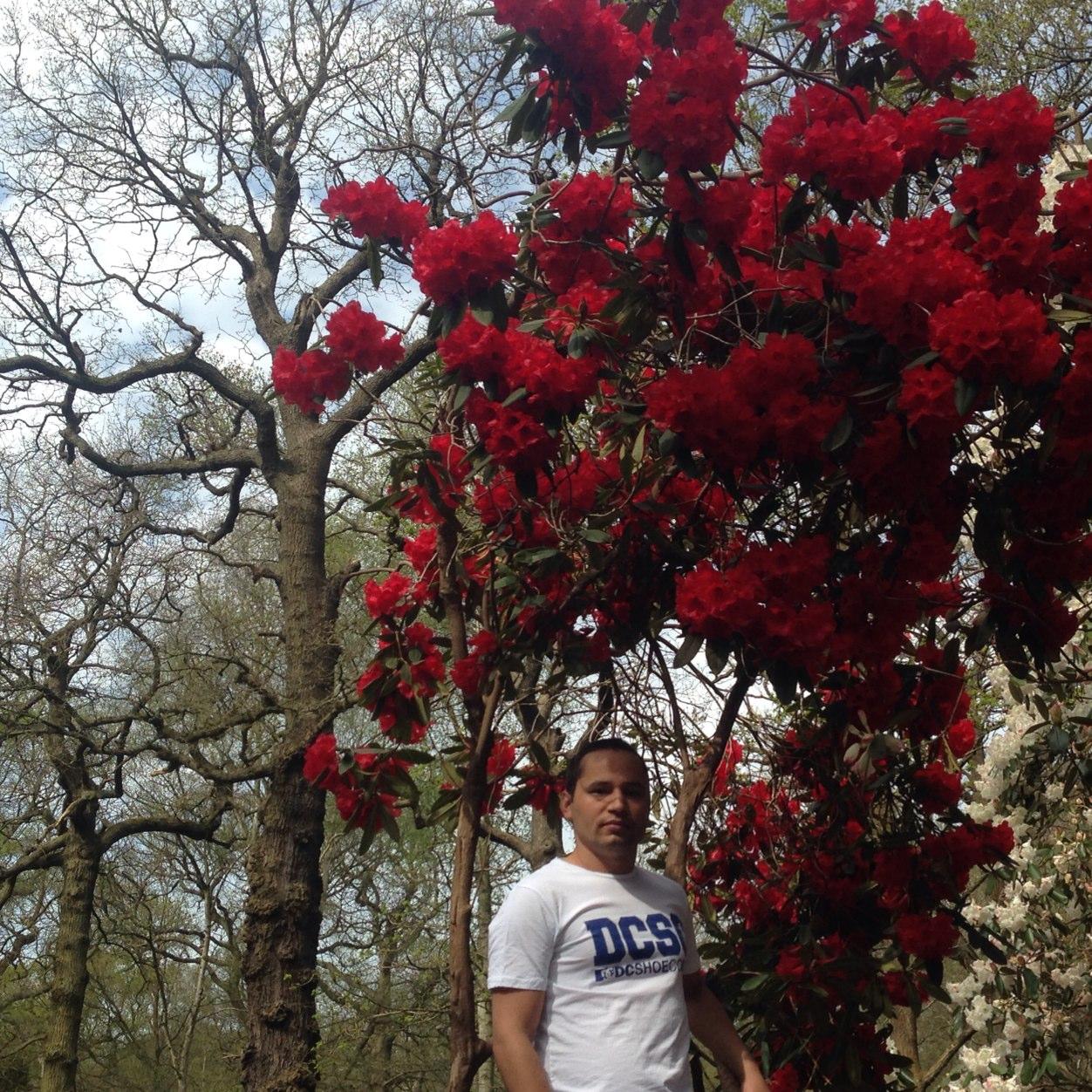 PaudelMitra's profile picture. 