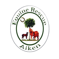 Aiken Equine Rescue (@aikenequineresc) 's Twitter Profile Photo Aiken Equine Rescue (@aikenequineresc) 's Twitter Profile Photo