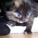 Andrea Hanley - @ANDIEHANLEY - Twitter