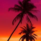 nwille12's profile picture. 