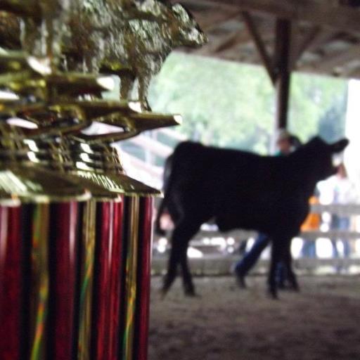 ISUExt_Sac's profile picture. When you need to make decisions that affect your family, community, business or farm look to Sac County Extension & Outreach.