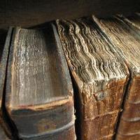 Olfactory Memoirs (@olfactorymemoir) 's Twitter Profile