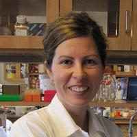 Sandra Turcotte PhD (@tcrg_udem) 's Twitter Profile