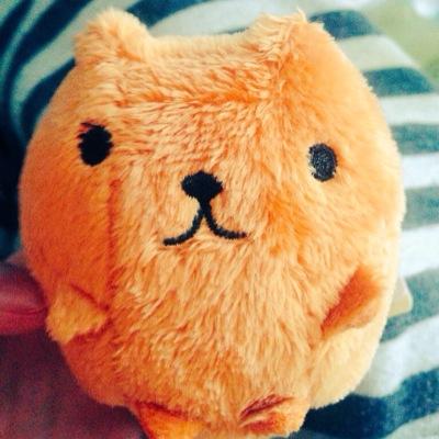 gao_apple888's profile picture. 人生没有永远！加油！！