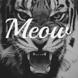 Drbark25's profile picture. Brand New Veterinarian. Advocate for flora and fauna. Tries to do everything all at once. 
IG: Drbark