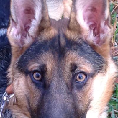 kiss_esd1md's profile picture. 