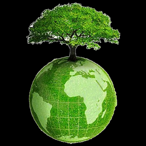 AlexanderCamejo's profile picture. Caraqueño y caraquista de nacimiento, con mi corazón en #Guayana y mi alma en #Miami • Opositor Radical