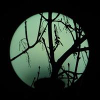 Asoliloque (@asoliloutre) 's Twitter Profile Photo Asoliloque (@asoliloutre) 's Twitter Profile Photo