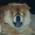 Dunx Smith (Malloy) (@dunx1977) Twitter profile photo Dunx Smith (Malloy) (@dunx1977) Twitter profile photo