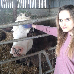 badwolfvegandr's profile picture. 