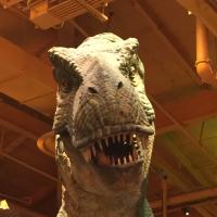 Jason (@jason_tas) 's Twitter Profile